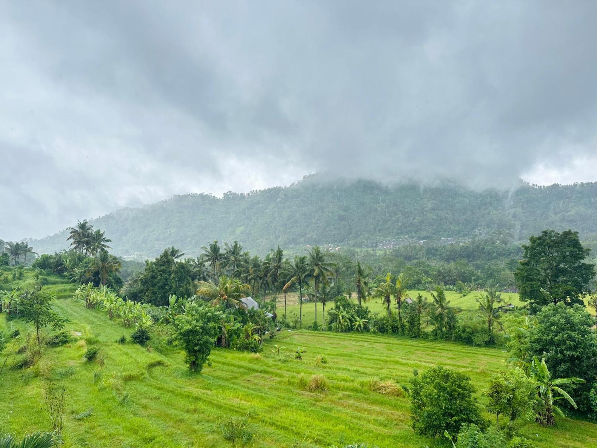 Puri Jumpungan Villas سيديمين المظهر الخارجي الصورة